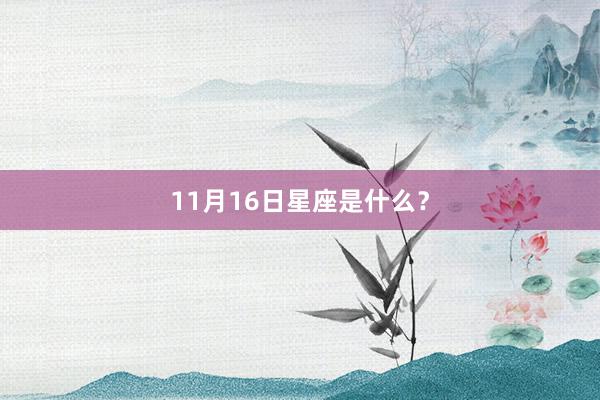 11月16日星座是什么？