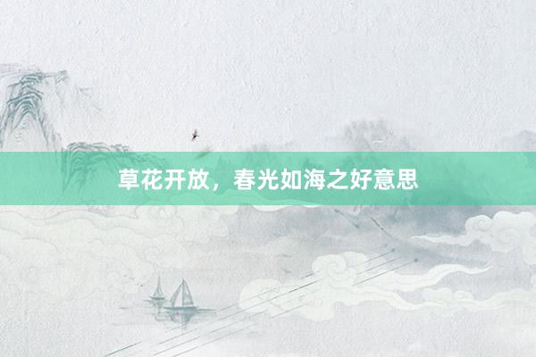 草花开放，春光如海之好意思