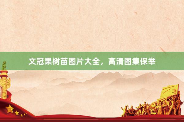 文冠果树苗图片大全，高清图集保举