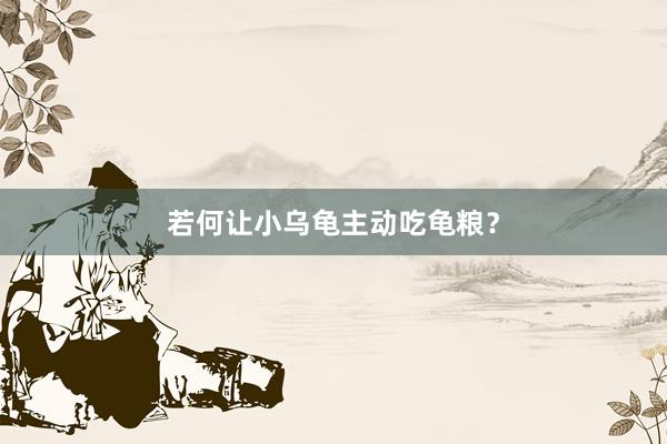 若何让小乌龟主动吃龟粮？