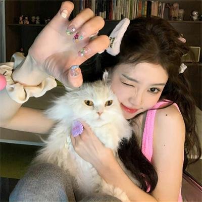 机动部队—绝路